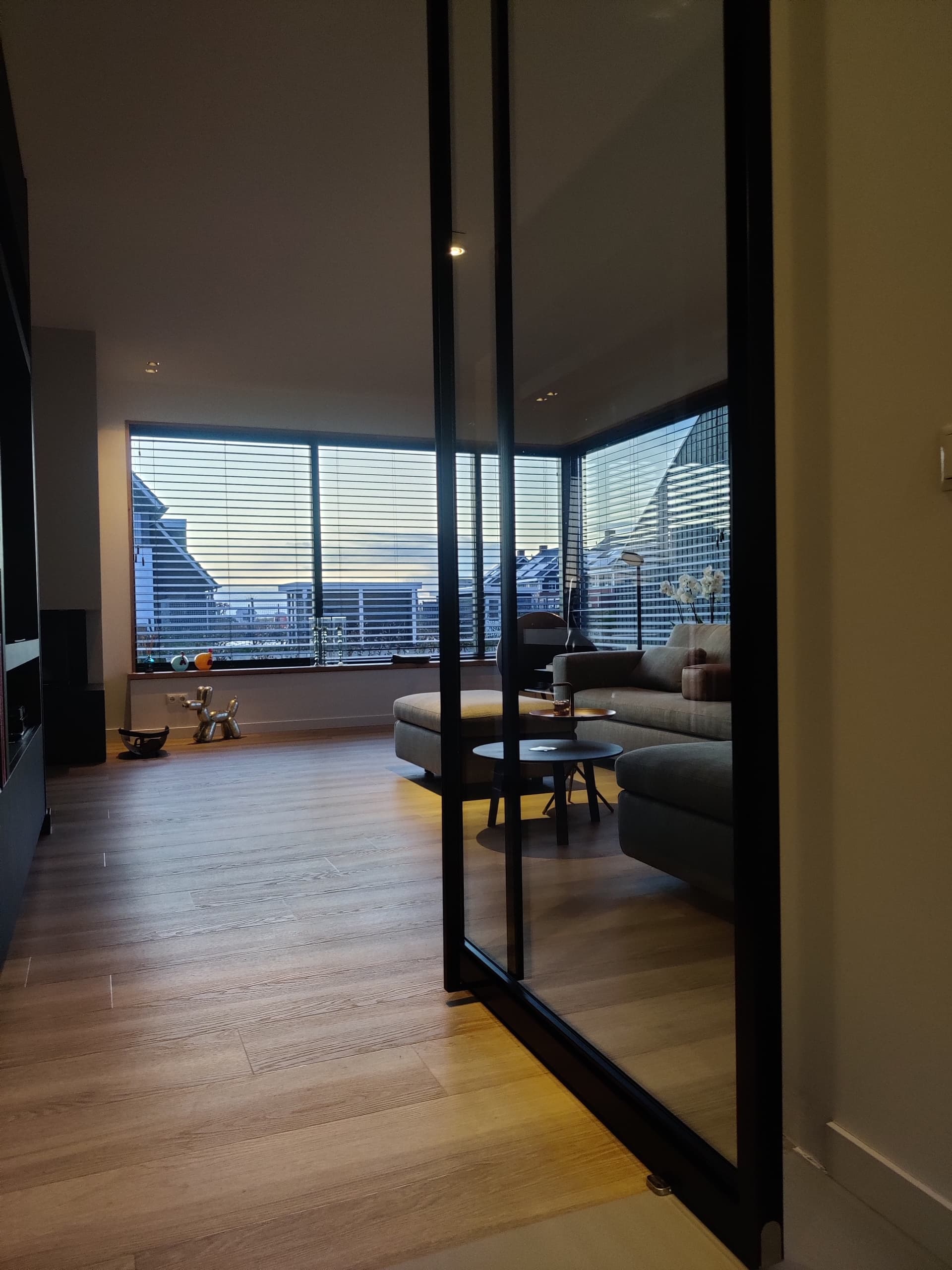 Zwarte stalen taatsdeur met getint glas, met zicht op een woonkamer met hoekbank en uitzicht over de stad in de avond.